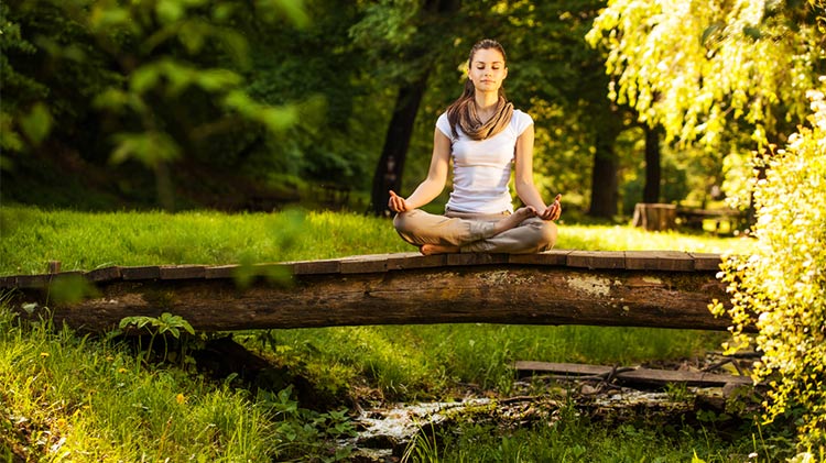 Lunchtime Meditation Lunchtime Meditation