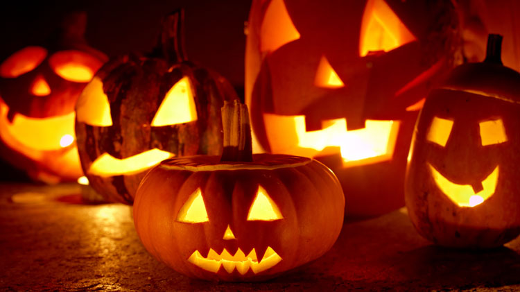 Volunteer Opportunities: Trick or Treat Spooky Bash Volunteer Opportunities: Trick or Treat Spooky Bash